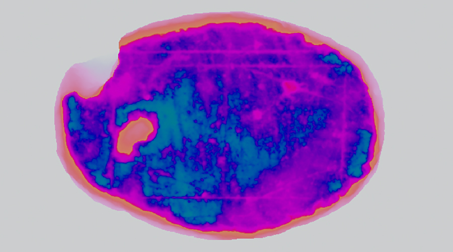 A história dos jogos é obscurecida pela nossa incapacidade de reconhecer indicadores de jogo no registro arqueológico.